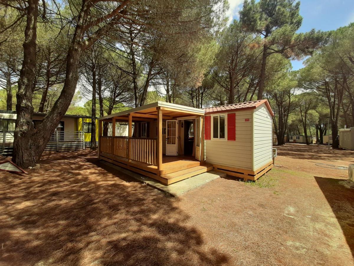 Lux Camp - Mobile Homes In Bi Village Фажана Экстерьер фото
